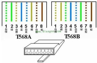从网线到网页 揭秘物理层之网线与网口