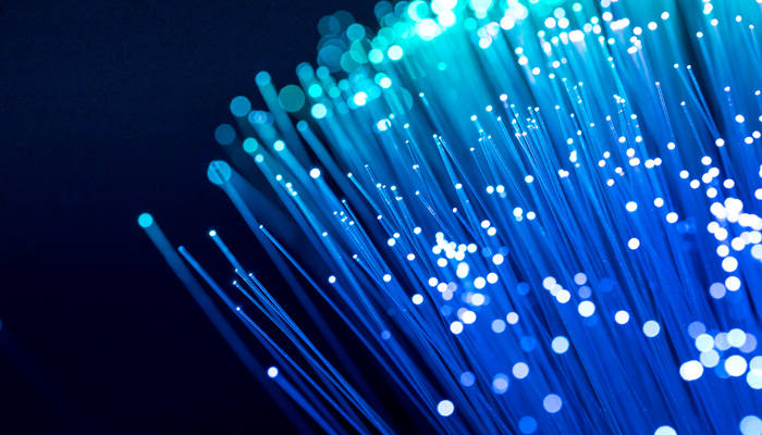 银叶王 擦亮国产网络线的可信赖品牌